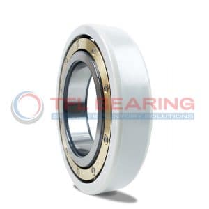 A 6218M/C4VL0241 electrically insulated bearing with outer ring coating and brass cage