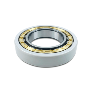 the image shows a 02 series insulated roller bearing, nu218