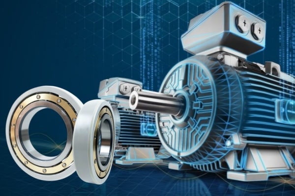 The picture shows the Electrically Insulated Bearings used in modern motors.