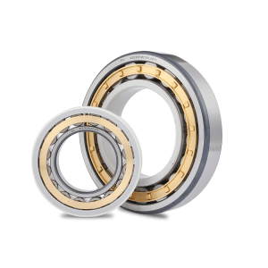 Two cylindrical roller bearings displayed together